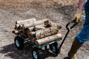 pexels greta hoffman 7728681